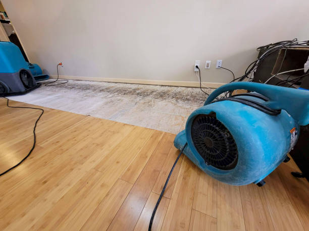 Professional Structural Drying technician working in Atwater, CA